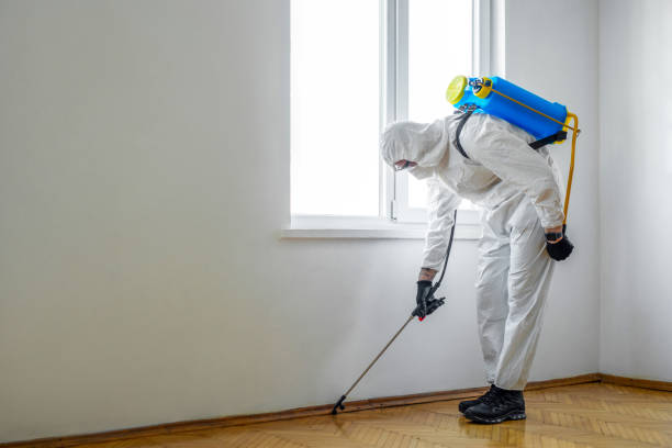 Best Residential Pest Control  in Yardville, NJ